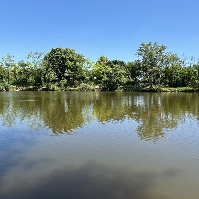 Mazán Anikó - Temporis Corpora
