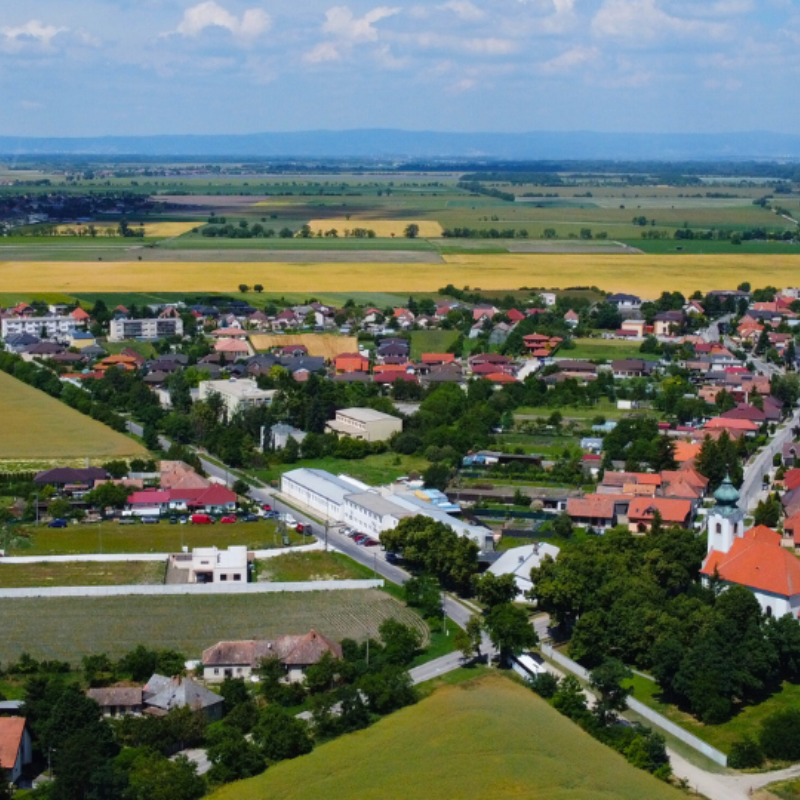 Kartárske preteky
