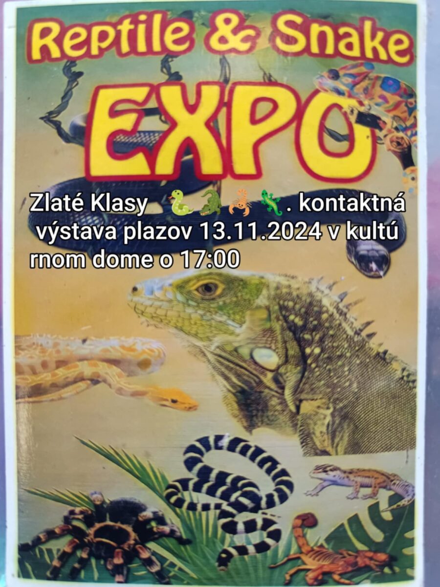 Výstava exotických plazov