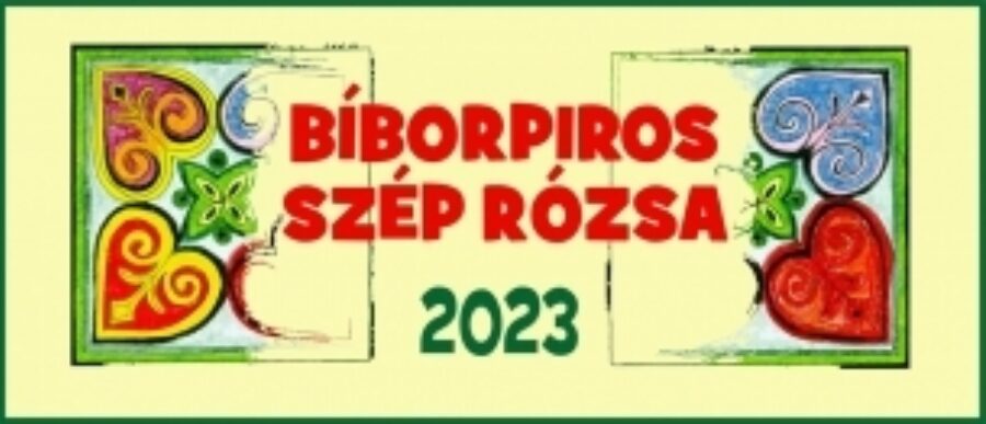 Bíborpiros szép rózsa