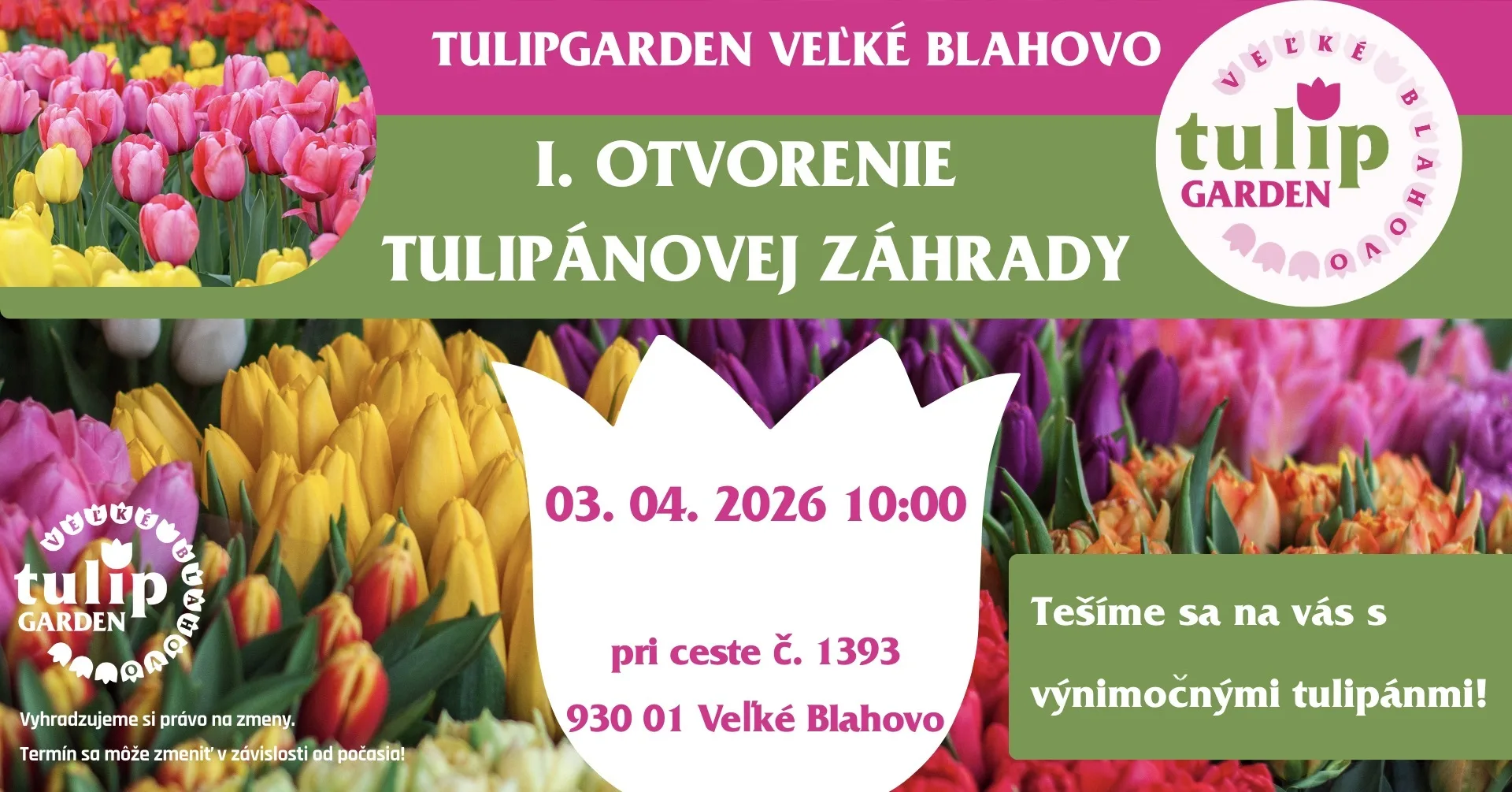 Otvorenie tulipánovej záhrady