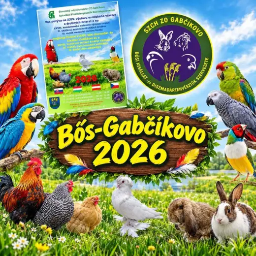 XXIV. výstava exotického vtáctva a drobných zvierat