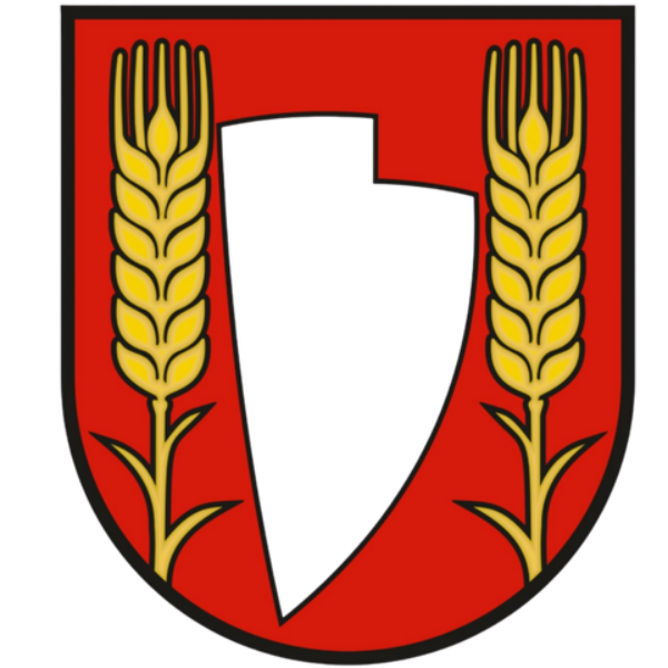 Névtelen terv