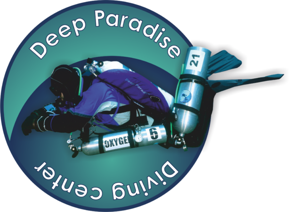 Deep paradise logo