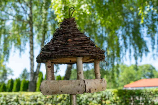 Blatná na Ostrove Sárosfa fotky28