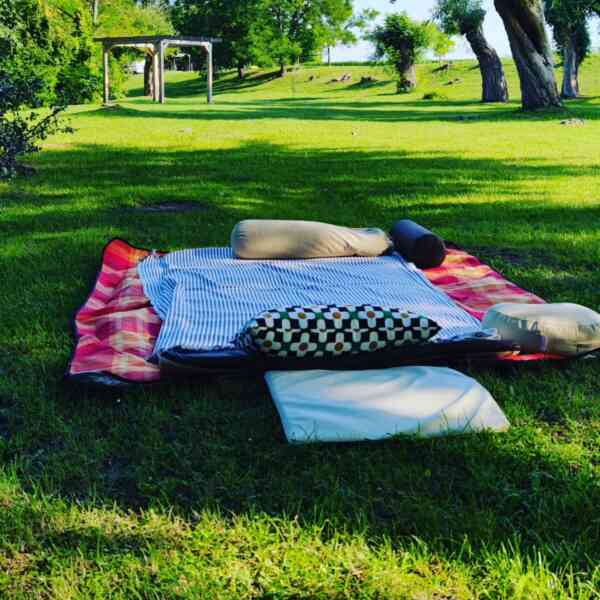 Golden Tree Shiatsu Massage Dunajská Streda Dunaszerdahely 12