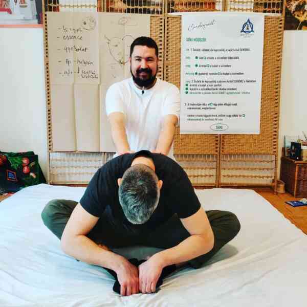 Golden Tree Shiatsu Massage Dunajská Streda Dunaszerdahely 4