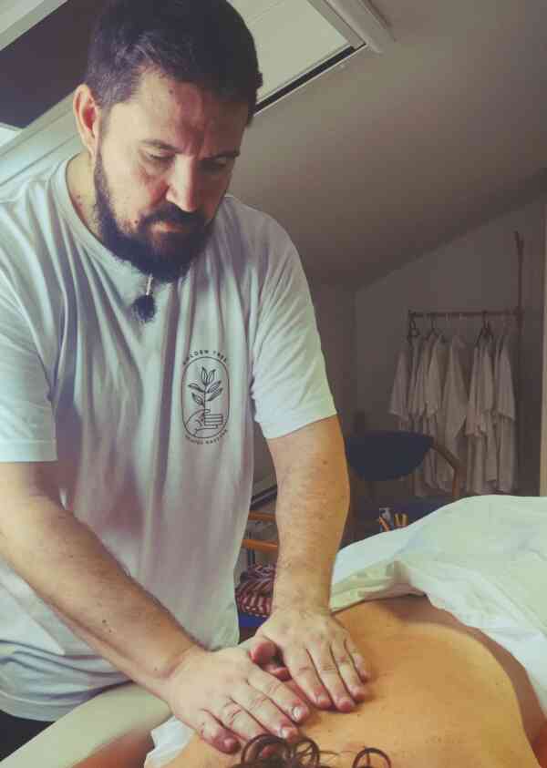 Golden Tree Shiatsu Massage Dunajská Streda Dunaszerdahely 5