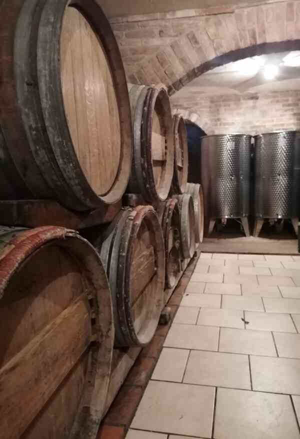 Molnár wines -Trstice