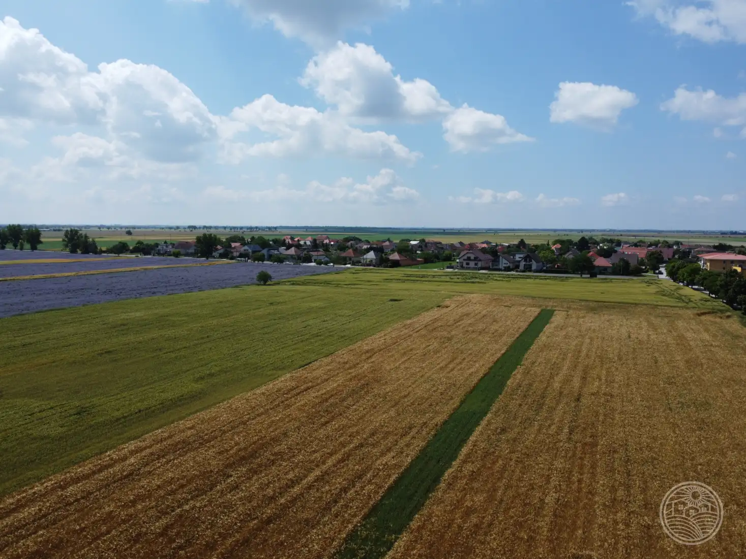 Vtáčie perspektívy..🌞