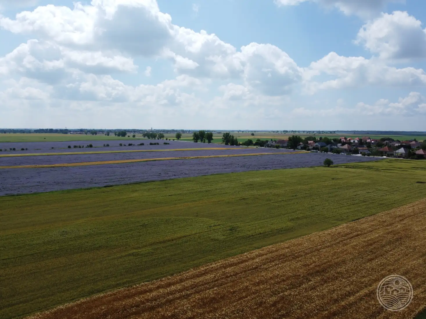 Vtáčie perspektívy..🌞