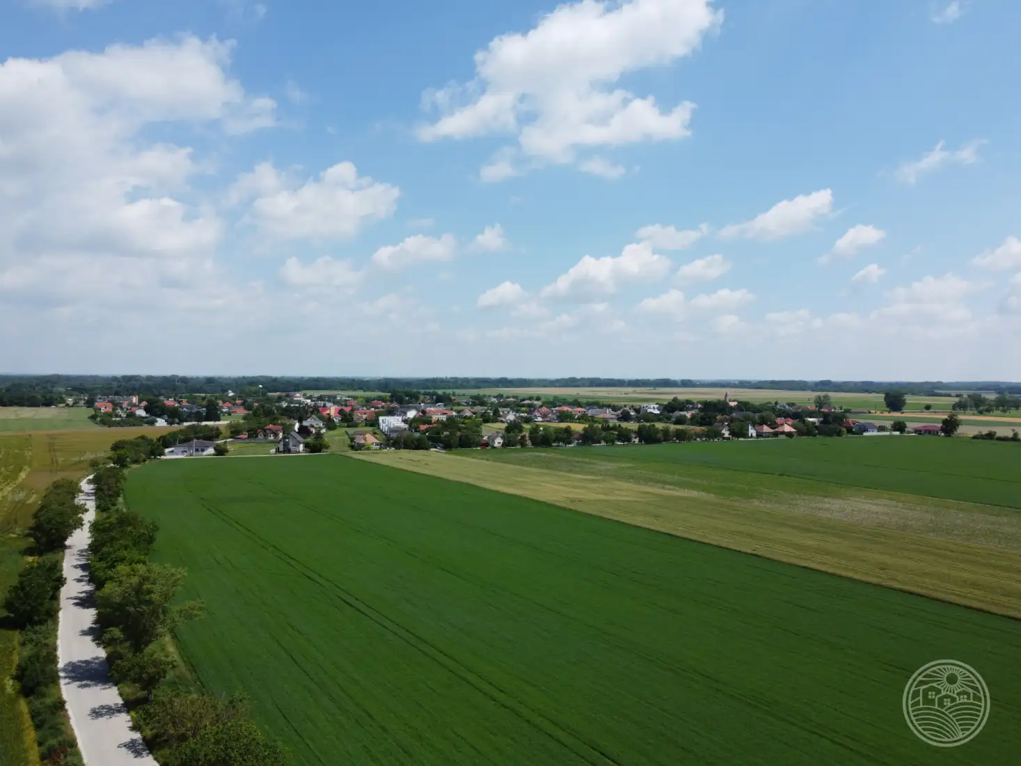 Vtáčie perspektívy..🌞