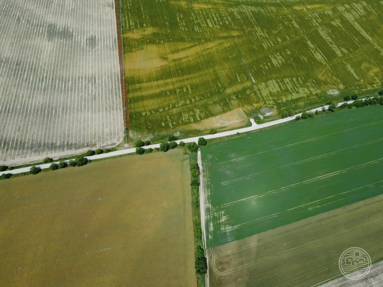 Vtáčie perspektívy..🌞