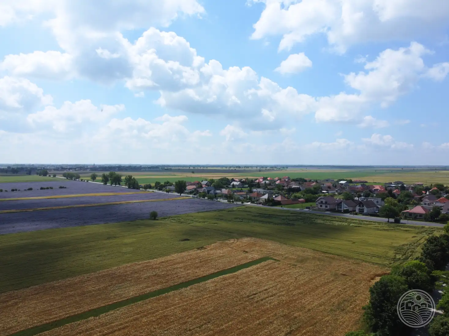 Vtáčie perspektívy..🌞