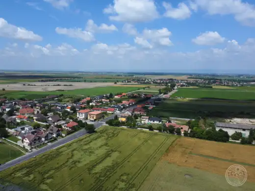 Vtáčie perspektívy..🌞