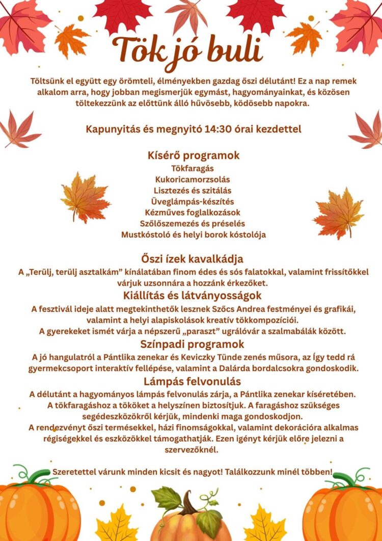 Tök jó buli 2